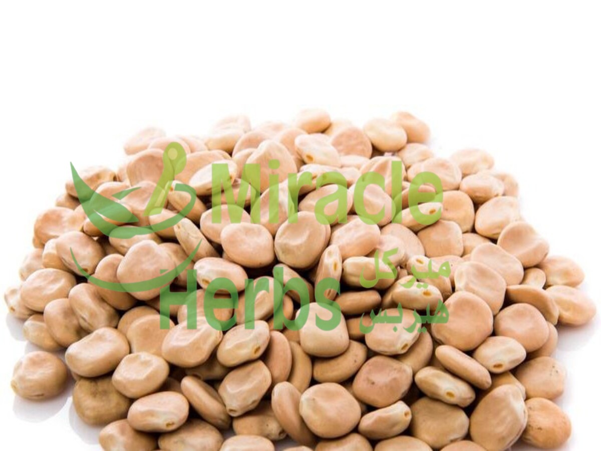 ترمس   